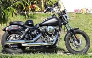 Dyna
